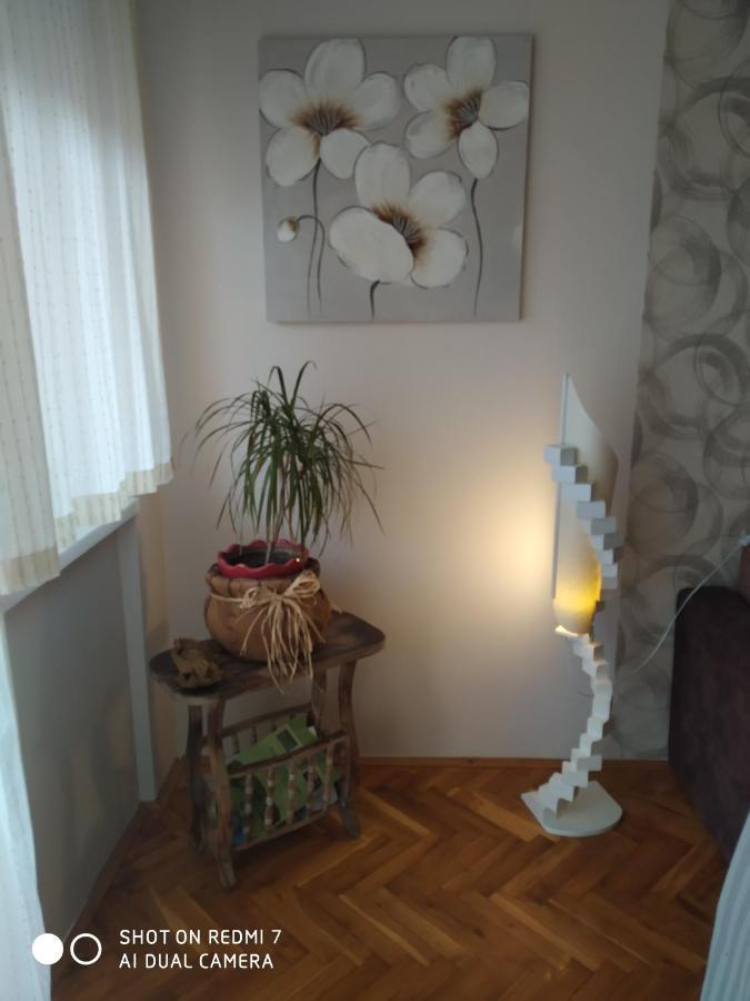 Apartman Ivan Vrdnik Exterior foto